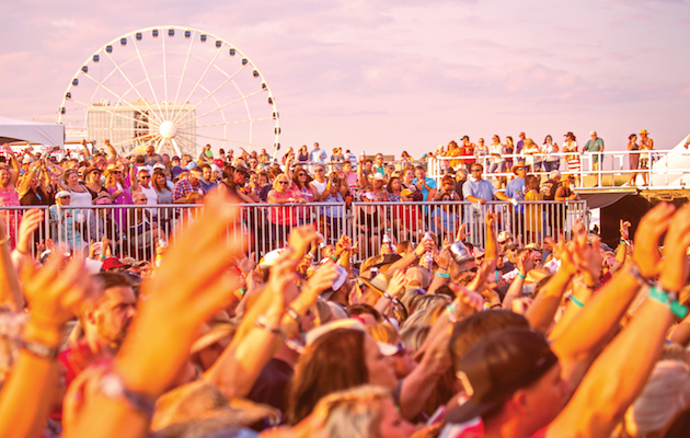 Concert crowd
