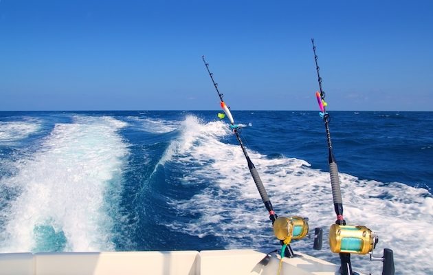 Deep Sea Fishing Myrtle Beach Archives Brittain Resorts Hotels Deep Sea Fishing Is A Year Round Adventure In Myrtle Beach