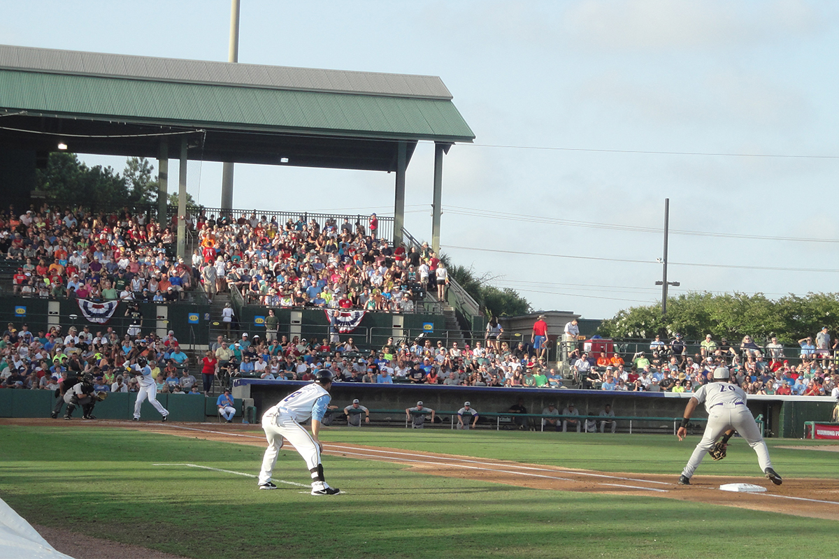 Myrtle Beach Pelicans Baseball | Brittain Resorts & Hotels