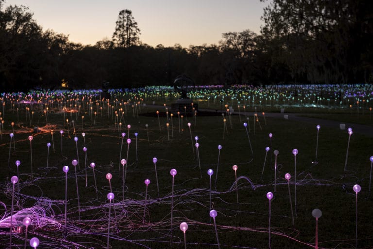 Bruce Munro Southern Lights at Brookgreen Gardens